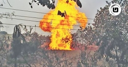 নাইকোর কাছে ১২,৩৭১ কোটি চেয়ে ৫১২ কোটি পাচ্ছে বাংলাদেশ